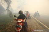 Pengendara motor berputar arah saat melintas di jalan Gubernur Syarkawi yang diselimuti kabut asap pekat di Kecamatan Gambut, Kabupaten Banjar, Kalimantan Selatan, Selasa (15/10/2019). Kebakaran hutan dan lahan (Karhutla) menyebabkan timbulnya kabut asap pekat yang berdampak terganggunya aktivitas warga dengan jarak pandang terbatas serta menimbulkan aroma menyengat. Foto Antaranews Kalsel/Bayu Pratama S.