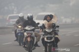 Pengendara motor melintas di jalan Ahmad Yani yang diselimuti kabut asap di Kecamatan Gambut, Kabupaten Banjar, Kalimantan Selatan, Selasa (15/10/2019). Kebakaran hutan dan lahan (Karhutla) menyebabkan timbulnya kabut asap pekat yang berdampak terganggunya aktivitas warga  dengan jarak pandang terbatas serta menimbulkan aroma menyengat. Foto Antaranews Kalsel/Bayu Pratama S.