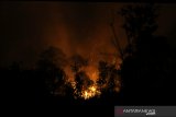 Api membakar hutan dan lahan gambut di jalan Gubernur Syarkawi, Kabupaten Banjar, Kalimantan Selatan, Selasa (15/10/2019). Susahnya akses menuju tempat kebakaran hutan dan lahan (karhutla) serta Kencangnya angin di lokasi lahan yang terbakar membuat kebakaran cepat meluas dan petugas sulit untuk memadamkan kebakaran tersebut. Foto Antaranews Kalsel/Bayu Pratama S.