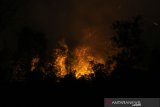 Api membakar hutan dan lahan gambut di jalan Gubernur Syarkawi, Kabupaten Banjar, Kalimantan Selatan, Selasa (15/10/2019). Susahnya akses menuju tempat kebakaran hutan dan lahan (karhutla) serta Kencangnya angin di lokasi lahan yang terbakar membuat kebakaran cepat meluas dan petugas sulit untuk memadamkan kebakaran tersebut. Foto Antaranews Kalsel/Bayu Pratama S.