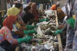 Pekerja memilah sampah hasil pengumpulan dari warga di Pengolahan Sampah, Tembk Rejo, Muncar, Banyuwangi, Jawa Timur, Selasa (15/10/2019). Pengolahan sampah oleh Systemiq dibawah naungan Bumdes setempat yang dikerjakan oleh 63 tenaga kerja itu, mampu mengolah sekitar 13 ton sampah per hari hasil pengumpulan dari 9 ribu rumah dengan omset sekitar Rp100 juta perbulan. Antara Jatim/Budi Candra Setya/zk.