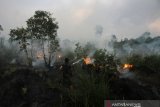 Petugas Badan Penanggulangan Bencana Daerah (BPBD) Kalsel melakukan pemadaman kebakaran lahan gambut di jalan Gubernur Syarkawi, Kabupaten Banjar, Kalimantan Selatan, Selasa (15/10/2019).Berdasarkan pantauan satelit milik Lembaga Penerbangan dan Antariksa Nasional (LAPAN) pada Senin (14/10/2019) terdapat 1.419 titik hotspot di sejumlah wilayah yang ada di Indonesia.Foto Antaranews Kalsel/Bayu Pratama S.