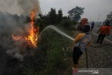 Petugas Badan Penanggulangan Bencana Daerah (BPBD) Kalsel melakukan pemadaman kebakaran lahan gambut di jalan Gubernur Syarkawi, Kabupaten Banjar, Kalimantan Selatan, Selasa (15/10/2019).Berdasarkan pantauan satelit milik Lembaga Penerbangan dan Antariksa Nasional (LAPAN) pada Senin (14/10/2019) terdapat 1.419 titik hotspot di sejumlah wilayah yang ada di Indonesia.Foto Antaranews Kalsel/Bayu Pratama S.