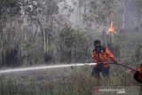 Petugas Badan Penanggulangan Bencana Daerah (BPBD) Kalsel melakukan pemadaman kebakaran lahan gambut di jalan Gubernur Syarkawi, Kabupaten Banjar, Kalimantan Selatan, Selasa (15/10/2019).Berdasarkan pantauan satelit milik Lembaga Penerbangan dan Antariksa Nasional (LAPAN) pada Senin (14/10/2019) terdapat 1.419 titik hotspot di sejumlah wilayah yang ada di Indonesia.Foto Antaranews Kalsel/Bayu Pratama S.