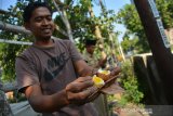 Abdul Muis (32) menunjukkan telur yang sudah matang setelah ditimbun dalam tanah yang mengeluarkan uap panas sekitar 30 menit di Desa Ngudirejo, Kecamatan Diwek, Kabupaten Jombang, Jawa Timur, Senin (14/10/2019). Uap panas tersebut keluar dari dalam tanah pekarangan milik warga setempat sejak Minggu (13/10/2019) di sekitar tiang listrik serta mengeluarkan bau menyengat. Antara Jatim/Syaiful Arif/zk