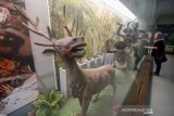 Pengunjung mengamati diorama manusia purba yang menjadi salah satu koleksi Museum Pendidikan Nasional Indonesia di Kampus UPI, Bandung, Jawa Barat, Rabu (16/10/2019). Museum Pendidikan Nasional Indonesia tersebut menampilkan diorama sejarah pertama kali manusia belajar, profil tokoh-tokoh pendidikan Indonesia, barang-barang kuno yang menjadi jejak sejarah pendidikan. ANTARA JABAR/Raisan Al Farisi/agr