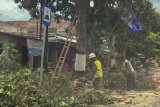 DLH Yogyakarta mengintensifkan pemangkasan pohon jelang musim hujan