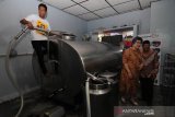 Bantuan tangki pendingin susu sapi perah
