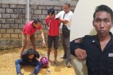 Dua pengedar sabu dan satu oknum sekuriti BNI 46 ditangkap polisi Bartim