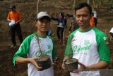 Peserta menunjukan bibit Edelweiss (Anaphalis Javanica) untuk ditanam pada acara Festival Edelweiss 2019 di bumi perkemahan Cidewata, Rajagaluh, Majalengka, Jawa Barat, (20/10/2019). Festival tersebut diharapkan mampu menarik wisata dengan membuat lembah Edelweiss yang merupakan tumbuhan vegetasi dataran tinggi. ANTARA JABAR/Dedhez Anggara/agr