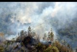 Api melalap pohon penghijauan saat terjadi kebakaran lahan dan hutan di Desa Batur, Kintamanii, Bali, Minggu (20/10/2019). Kebakaran yang mulai terjadi pada Sabtu (19/20/2019) sekitar pukul 17.00 wita tersebut meluas hingga Minggu (20/10/2019) sehingga diperkirakan telah menghanguskan puluhan hektar lahan dan hutan di kawasan obyek wisata Gunung Batur tersebut. FOTO/Nyoman Hendra Wibowo/nym