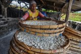 Pekerja menjemur tepung aren menggunakan olahan tradisional di Desa Payungsari, Kabupaten Ciamis, Jawa Barat, Minggu (20/10/2109). Kementerian Perindusterian mencatat sektor industri makanan dan minuman di Indonesia memiliki potensi pertumbuhan ekonomi yang cukup besar karena didukung sumber daya alam yang berlimpah dan permintaan domestik yang tinggi, seperti perajin tepung aren tradisional bisa memproduksi dua ton tepung aren untuk dijual ke berbagai daerah di Jabar dengan harga Rp 7.000 per kilogram. ANTARA JABAR/Adeng Bustomi/agr