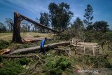 Warga melintas diantara pohon yang tumbang akibat bencana angin ribut yang terjadi di Pangalengan, Kabupaten Bandung, Jawa Barat, Senin (21/10/2019). Badan Meteorologi Klimatologi Geofisika (BMKG) menyebutkan fenomena angin ribut yang menghancurkan ratusan atap rumah hancur dan pohon tumbang di Pangalengan tersebut diakibatkan oleh peralihan dari musim kemarau ke musim hujan. ANTARA JABAR/Raisan Al Farisi/agr