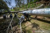 Seorang anggota kepolisian berusaha melewati pohon tumbang akibat bencana angin ribut yang terjadi di Pangalengan, Kabupaten Bandung, Jawa Barat, Senin (21/10/2019). Badan Meteorologi Klimatologi Geofisika (BMKG) menyebutkan fenomena angin ribut yang menghancurkan ratusan atap rumah hancur dan pohon tumbang di Pangalengan tersebut diakibatkan oleh peralihan dari musim kemarau ke musim hujan. ANTARA JABAR/Raisan Al Farisi/agr