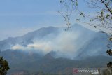 Asap mengepul saat kebakaran hutan yang terjadi di Pegunungan Malabar, Kabupaten Bandung, Jawa Barat, Senin (21/10/2019). Setelah sempat padam pada pekan lalu, hutan di Pegunungan Malabar kembali terbakar dan belum diketahui penyebab kebakaran tersebut. ANTARA JABAR/Raisan Al Farisi/agr