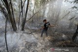 Relawan pemadam kebakaran berupaya memadamkan kebakaran lahan gambut di Kecamatan Gambut, Kabupaten Banjar, Kalimantan Selatan, Senin (21/10/2019). Akibat curah hujan yang masih rendah Kebakaran hutan dan lahan (Karhutla) masih terjadi di sejumlah wilayah Provinsi Kalsel. Foto Antaranews Kalsel/Bayu Pratama S.