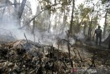 Asap keluar dari lahan gambut yang terbakar di Kecamatan Gambut, Kabupaten Banjar, Kalimantan Selatan, Senin (21/10/2019). Akibat curah hujan yang masih rendah Kebakaran hutan dan lahan (Karhutla) masih terjadi di sejumlah wilayah Provinsi Kalsel. Foto Antaranews Kalsel/Bayu Pratama S.