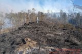 BTNGR: sudah 6.055 hektare hutan Gunung Rinjani terbakar