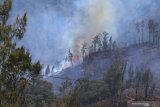 Kebakaran Gunung Ranti terlihat dari Paltuding, Gunung Ijen, Banyuwangi, Jawa Timur, Selasa (22/10/2019). Kebakaran yang terjadi sejak sabtu (19/10) itu, hingga saat ini masih belum dapat dipadamkan, sehingga api terus merambat dan membakar sebagian besar kawasan Gunung Ranti. Antara Jatim/Budi Candra Setya/zk.