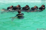 Penerbang dan awak pesawat udara TNI AL Puspenerbal mengikuti latihan keselamatan (survival) di kolam renang tirta krida Kodiklatal Juanda, Sidoarjo, Jawa Timur, Rabu (23/10/2019). Latihan survival yang diikuti 90 personel gabungan yang terdiri dari penerbang dan teknisi  tersebut bertujuan untuk meningkatkan keterampilan dan kemampuan beradaptasi dalam mempertahankan hidup bila terjadi pendaratan darurat pesawat di air. Antara Jatim/Umarul Faruq/zk