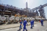 Pertamina-Rosneft PJSC sepakati kontrak desain Kilang Tuban