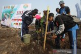 Sejumlah pelajar menanam bibit pohon di kawasan Hutan Lindung Liang Anggang, Banjarbaru, Kalimantan Selatan, Jumat (25/10/2019). Penanaman ribuan bibit pohon di kawasan tersebut merupakan kick off penanaman serentak se-Kalimantan Selatan dalam rangka gerakan nasional pemulihan Daerah Aliran Sungai (DAS) Tahun 2019 dari Kementrian Lingkungan Hidup dan Kehutanan (KLHK) untuk upaya rehabilitasi lahan. Foto Antaranews Kalsel/Bayu Pratama S.