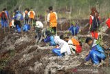 Sejumlah pelajar menanam bibit pohon di kawasan Hutan Lindung Liang Anggang, Banjarbaru, Kalimantan Selatan, Jumat (25/10/2019). Penanaman ribuan bibit pohon di kawasan tersebut merupakan kick off penanaman serentak se-Kalimantan Selatan dalam rangka gerakan nasional pemulihan Daerah Aliran Sungai (DAS) Tahun 2019 dari Kementrian Lingkungan Hidup dan Kehutanan (KLHK) untuk upaya rehabilitasi lahan. Foto Antaranews Kalsel/Bayu Pratama S.