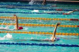 1.508 atlet renang ikuti kejurnas Jatim Open 2019 di Sidoarjo