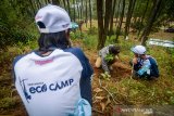 PERTAMINA ECO CAMP. Peserta Pertamina Eco Camp 2019 menanam pohon kopi di Gunung Puntang, Pegunungan Malabar, Kabupaten Bandung, Jawa Barat, Rabu (30/10/2019). Pertamina Eco Camp 2019 dengan tema 