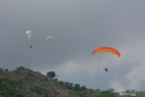 Sejumlah atlet mengikuti kejuaraan paralayang Piala Bupati Jember di Bukit Mandigu, Desa Suco, Mumbulsari, Jember, Jawa Timur, Sabtu (2/11/2019). Kejuaraan paralayang tersebut diikuti 89 peserta dari sejumlah provinsi untuk kategori ketepatan mendarat. Antara Jatim/Seno/zk.