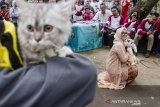 Warga dengan kucing peliharaannya memperagakan busana kreasi saat mengikuti kontes busana Tahura Cat Festival di Taman Hutan Raya Ir. Djuanda, Bandung, Jawa Barat, Minggu (3/11/2019). Kegiatan tersebut sebagai bentuk apresiasi dan pelestarian kecintaan terhadap flora dan fauna khususnya kucing sekaligus peringatan Hari Cinta Puspa dan Satwa 2019. ANTARA JABAR/Novrian Arbi/agr