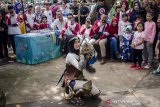 Warga dengan kucing peliharaannya memperagakan busana kreasi saat mengikuti kontes busana Tahura Cat Festival di Taman Hutan Raya Ir. Djuanda, Bandung, Jawa Barat, Minggu (3/11/2019). Kegiatan tersebut sebagai bentuk apresiasi dan pelestarian kecintaan terhadap flora dan fauna khususnya kucing sekaligus peringatan Hari Cinta Puspa dan Satwa 2019. ANTARA JABAR/Novrian Arbi/agr