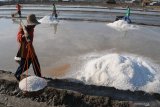 Pekerja mengangkut garam saat panen di Desa Bunder, Pamekasan, Jawa Timur, Senin (4/11/2019). Menjelang berakhirnya musim olah garam tahun ini, harga komoditas tersebut untuk kualitas satu (K1) semakin anjlok dari Rp300 ribu menjadi Rp250 ribu per ton dan K2 menjadi Rp200 ribu dari Rp250 ribu per ton. Antara Jatim/Saiful Bahri/zk