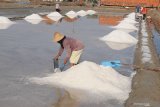 Pekerja memanen garam di Desa Bunder, Pamekasan, Jawa Timur, Senin (4/11/2019).  Menjelang berakhirnya musim olah garam tahun ini, harga komoditas tersebut untuk kualitas satu (K1) semakin anjlok dari Rp300 ribu menjadi Rp250 ribu per ton dan K2 menjadi Rp200 ribu dari Rp250 ribu per ton. Antara Jatim/Saiful Bahri/zk