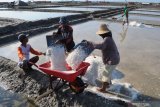 Pekerja memanen garam di Desa Bunder, Pamekasan, Jawa Timur, Senin (4/11/2019). Menjelang berakhirnya musim olah garam tahun ini, harga komoditas tersebut untuk kualitas satu (K1) semakin anjlok dari Rp300 ribu menjadi Rp250 ribu per ton dan K2 menjadi Rp200 ribu dari Rp250 ribu per ton. Antara Jatim/Saiful Bahri/zk