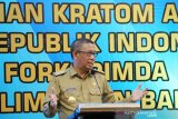 Gubernur Kalimantan Barat Sutarmidji (kiri) bersama Kepala Badan Narkotika Nasional (BNN) Komjen Pol Heru Winarko (kanan) memperlihatkan maket berisi sampel narkotika saat pembukaan Diskusi tentang Tanaman Kratom antara Kepala BNN dengan Forkopimda Kalbar di Pontianak, Kalimantan Barat, Selasa (5/11/2019). Gubernur Kalbar meminta BNN mengkaji lebih lanjut tentang manfaat Kratom (Mytragyna speciosa) karena Ia menilai tanaman tersebut tidak menimbulkan efek kecanduan dan memiliki zat bermanfaat untuk obat-obatan serta dapat mengurangi rasa sakit bius pada pasien di dunia kedokteran. ANTARA FOTO/Jessica Helena Wuysang