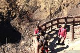 Wisatawan melihat sisa kebakaran di Gunung Ijen, Banyuwangi, Jawa Timur, Kamis (7/11/2019). Pendakian Gunung Ijen yang sebelumnya ditutup selama 18 hari akibat kebakaran hutan, mulai tanggal (7/11) telah resmi dibuka. Antara Jatim/Budi Candra Setya/zk.