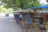 Eksistensi becak kayuh di Kota Padang