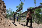 Warga bergotong-royong membangun saluran air bersih menggunakan pipa di Dusun Berkong, Desa Kayumas, Arjasa, Situbondo, Jawa Timur, Kamis (7/11/2019). Bantuan Penyediaan Air Minum dan Sanitasi Berbasis Masyarakat (Pamsimas) dari Kementerian PUPR itu, sangat bermanfaat karena menyediakan air bersih bagi warga di pedesaan yang tiap musim kemarau kesulitan air bersih. Antara Jatim/Seno/zk.