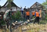 Petugas Badan Penanggulangan Bencana Daerah (BPBD) bersama prajurit TNI, Polri dan warga membersihkan pohon tumbang yang menimpa rumah penduduk akibat puting beliung di Desa Pacinan, Balerejo, Kabupaten Madiun, Jawa Timur, Jumat (8/11/2019). Puting beliung yang terjadi di wilayah tersebut mengakibatkan 58 rumah penduduk rusak dan ratusan pohon tumbang. Antara Jatim/Siswowidodo/zk.