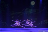 Balerina dari Marlupi Dance Academy (MDA) menampilkan tari balet berjudul The Swan Lake in Modern Ballet di Gedung Balai Budaya, Surabaya, Jawa Timur, Minggu (10/11/2019). Pertunjukan tersebut diselenggarakan dalam rangka merayakan 63 tahun kiprah Marlupi Dance Academy dalam pengembangan seni tari balet di Indonesia. Antara Jatim/Moch Asim/zk.
