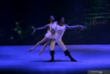 Balerina dari Marlupi Dance Academy (MDA) menampilkan tari balet berjudul The Swan Lake in Modern Ballet di Gedung Balai Budaya, Surabaya, Jawa Timur, Minggu (10/11/2019). Pertunjukan tersebut diselenggarakan dalam rangka merayakan 63 tahun kiprah Marlupi Dance Academy dalam pengembangan seni tari balet di Indonesia. Antara Jatim/Moch Asim/zk.