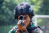 Pasukan Satgas Pamtas RI-Papua Nugini (PNG) Yonif Para Raider 305 melakukan simulasi patroli pengamanan daerah perbatasan di Batalyon Infanteri Para Raider 305/Tengkorak, Karawang, Jawa Barat, Sabtu (9/11/2019). Simulasi tersebut bertujuan untuk melatih kemampuan standar operasional kesiagaan dan keamanan di perbatasan. Sebanyak 450 personel akan diberangkatkan untuk pengamanan daerah perbatasan Indonesia-Papua Nugini selama sembilan bulan melalui jalur laut mengunakan kapal perang KRI Banda Aceh dari pelabuhan Tanjung Priok pada Senin (11/11/2019) mendatang. ANTARA JABAR/M Ibnu Chazar/agr