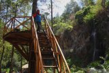 Wisatawan melakukan swafoto di kawasan wisata hutan lindung Coban Putri, Batu, Jawa Timur, Selasa (12/11/2019).Perum Perhutani Indonesia mencatat, program pengembangan kawasan wisata hutan di berbagai daerah menjadi pendongkrak kenaikan laba bersih dari Rp216 milliar di tahun 2017 menjadi Rp654 milliar di tahun 2018 atau naik sebesar 49.31 persen dan diperkirakan akan terus meningkat di akhir tahun 2019. Antara Jatim/Ari Bowo Sucipto/zk