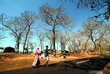 Pengunjung menikmati panorama pantai wisata Jumiang di Desa Tanjung, Pamekasan, Jawa Timur, Selasa (12/11/2019). Destinasi wisata yang selalu ramai pengunjung terutama saat musim libur itu, terus dibenahi dan diharapkan dapat meningkatkan pendapatan pemkab dan kesejahteraan masarakat setempat. Antara Jatim/Saiful Bahri/zk