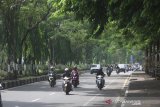 Sejumlah kendaraan melintas di jalan Jenderal Sudirman, Banjarmasin, Kalimantan Selatan, Kamis (14/11/2019). Suasana jalan protokol yang di tumbuhi pepohonan yang rindang selain berfungsi untuk tempat berteduh juga sebagai penyerap karbon dioksida agar kualitas udara tetap terjaga.Foto Antaranews Kalsel/Bayu Pratama S.