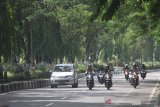 Sejumlah kendaraan melintas di jalan Jenderal Sudirman, Banjarmasin, Kalimantan Selatan, Kamis (14/11/2019). Suasana jalan protokol yang di tumbuhi pepohonan yang rindang selain berfungsi untuk tempat berteduh juga sebagai penyerap karbon dioksida agar kualitas udara tetap terjaga.Foto Antaranews Kalsel/Bayu Pratama S.