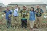 Dirjen Hortikultura Kementerian Pertanian Prihasto Setyanto (tengah) didampingi Managing Director PT East West Seed Indonesia (Ewindo) Glenn Pardede (kedua kiri) berfoto bersama Direktur Riset dan Pengembangan PT Ewindo Asep Harpenas (kiri), Deputy Director of Human Resources PT Ewindo Fransiska Fortuna (kedua Kanan), Director Sales dan Marketing Afrizal Gindow (kanan) di sela acara edukasi budidaya bawang merah menggunakan biji di Purwakarta, Jawa Barat, Kamis (14/11/2019). Kementerian Pertanian mendorong petani untuk mengembangkan budidaya bawang merah menggunakan biji karena hemat biaya, yaitu Rp 10 juta/ha dibanding menggunakan umbi sebesar Rp 45 juta/ha, produksinya lebih besar dan mengurangi impor bibit/umbi.. ANTARA FOTO/M Ibnu Chazar/agr