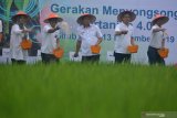 Bupati Situbondo Dadang Wigiarto (tengah), GM Divisi Bisnis Usaha Kecil 2 BNI Bambang Setyatmojo (kedua kanan), Dirjen PDT Kemendesa Samsul Widodo (kedua kiri), Kasubdit Kredit Program dan Fasilitasi Pembiayaan Kementan Kartining Saddewi Budi (kiri), dan Head of Region Kantor Wilayah Malang Wiwi Suprihatno (kanan), memupuk tanaman padi di Besuki, Situbondo, Jawa Timur, Rabu (13/11/2019). BNI berkolaborasi dengan Kementerian Pertanian, Kementerian Komunikasi dan Informatika, Kementerian Desa Pembangunan Daerah Tertinggal dan Transmigrasi menginisiasi Gerakan Menyongsong Pertanian 4.0 untuk meningkatkan produksi melalui pertanian presisi, kemudahan akses pembiayaan perbankan, hingga kesiapan dan sosialisasi penggunaan teknologi digital melibatkan 300 petani dan perwakilan petani. Antara Jatim/Seno/zk.
