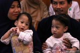 Bayi kembar siam asal Kendari, Sulawesi Tenggara Azila  (kiri) digendong ibunya Silvina Dewi dan Aqila (kanan) digendong bapaknya Jayasri di Rumah Sakit Umum Daerah (RSUD) Dr Soetomo, Surabaya, Jawa Timur, Jumat (15/11/2019). Bayi kembar siam yang telah berhasil dipisahkan dengan operasi pada Rabu (14/8/2019) itu hari ini pulang ke Kendari setelah Tim penanganan kembar siam RSUD Dr Soetomo menyatakan kondisi kesehatan dan fisiknya semakin membaik pascaoperasi pemisahan. Antara Jatim/Didik S/ZK